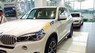 BMW X5 2.0 2017 - Bán BMW X5 2.0 năm sản xuất 2017, màu trắng, giá tốt