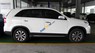 Kia Sorento DATH 2017 - Showroom Kia Tiền Giang bán xe Kia Sorento DATH năm sản xuất 2017, màu trắng