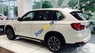 BMW X5 2.0 2017 - Bán BMW X5 2.0 năm sản xuất 2017, màu trắng, giá tốt