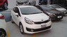 Kia Rio 2017 - Cần bán xe Kia Rio, màu trắng, xe nhập giá cạnh tranh