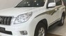 Toyota Prado 2010 - Bán ô tô Toyota Prado 2010, màu trắng, đăng ký lần đầu 2011