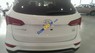 Hyundai Santa Fe 2017 - Bán xe Hyundai Santa Fe năm sản xuất 2017, màu trắng