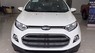 Ford EcoSport Titanium 2017 - Cần bán Ford EcoSport Titanium đời 2017, màu trắng, 584tr