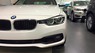 BMW 3 Series 320i 2017 - Bán xe BMW 320i 2017, màu trắng, nhập khẩu nguyên chiếc. Cam kết phục vụ tốt nhất, giá tốt nhất, giao xe sớm nhất