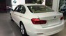 BMW 3 Series 320i 2017 - Bán xe BMW 320i 2017, màu trắng, nhập khẩu nguyên chiếc. Cam kết phục vụ tốt nhất, giá tốt nhất, giao xe sớm nhất