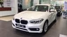 BMW 1 Series 118i 2017 - BMW 118i 2017, màu trắng, nhập khẩu, ưu đãi hấp dẫn, có xe giao ngay