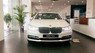 BMW 7 Series 730Li 2017 - Bán ô tô BMW 7 Series 730Li đời 2017, màu trắng, nhập khẩu chính hãng