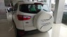 Ford EcoSport 1.5 AT titanium 2017 - Ford Ecosport 1.5 titanium AT giá tốt nhất,xe đủ màu sẵn giao