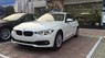 BMW 3 Series 320i 2017 - BMW 3 Series 320i 2017, màu trắng, xe nhập. Ưu đãi cực hấp dẫn, có xe giao ngay