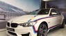 BMW M3 2017 - Cần bán xe BMW M3 sản xuất năm 2017, màu trắng, xe nhập