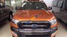 Ford Ranger  Wildtrak 2017 - Cần bán Ford Ranger Wildtrak năm sản xuất 2017, 830tr