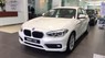 BMW 1 Series 118i 2017 - Bán BMW 1 Series 118i 2017, màu trắng, nhập khẩu chính hãng