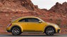 Volkswagen New Beetle Dune 2017 - Volkswagen Beetle Dune 2017 - Nhập khẩu chính hãng - Quang Long 0933689294