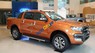 Ford Ranger   Wildtrak 3.2 2017 - Bán xe Ford Ranger Wildtrak 3.2 sản xuất năm 2017, giá 878tr