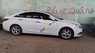 Hyundai Sonata Y20 2010 - Cần bán xe Hyundai Sonata Y20 năm 2010, màu trắng, nhập khẩu chính chủ