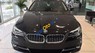 BMW 5 Series  528i 2017 - Bán xe BMW 5 Series 528i sản xuất 2017, màu đen, nhập khẩu nguyên chiếc