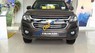 Chevrolet Colorado LT 2.5 MT 4x4 2017 - Bán xe Chevrolet Colorado LT 2.5 MT 4x4 đời 2017, màu nâu