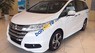 Honda Odyssey   2.4 2017 - Bán Honda Odyssey 2.4 năm 2017, màu trắng