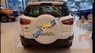 Ford EcoSport   2017 - Bán Ford EcoSport sản xuất năm 2017, màu trắng