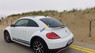 Volkswagen New Beetle 2017 - Bán xe Volkswagen new Beetle năm 2017, màu trắng, nhập khẩu. Nhận đặt cọc xe