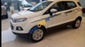 Ford EcoSport   2017 - Bán Ford EcoSport sản xuất năm 2017, màu trắng