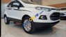 Ford EcoSport   2017 - Bán Ford EcoSport sản xuất năm 2017, màu trắng