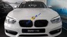 BMW 1 Series 118i 2017 - Bán BMW 1 Series 118i năm 2017, màu trắng, xe nhập