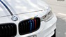 BMW 3 Series 320i 2016 - Bán ô tô BMW 3 Series 320i sản xuất năm 2016, màu trắng, nhập khẩu