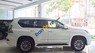 Lexus GX460  4.6L AT 2017 - Bán Lexus GX460 4.6L AT sản xuất năm 2017, màu trắng