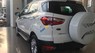 Ford EcoSport Titanium 1.5AT 2017 - Bán xe Ford EcoSport Titanium 1.5AT năm sản xuất 2017, màu trắng, 575 triệu