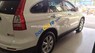 Honda CR V 2012 - Bán ô tô Honda CR V đời 2012, màu trắng, xe cực đẹp