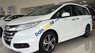 Honda Odyssey 2017 - Cần bán xe Honda Odyssey sản xuất năm 2017, màu trắng
