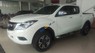 Mazda BT 50 2.2MT 2WD 2017 - Bán Mazda BT 50 2.2MT 2WD sản xuất năm 2017, màu trắng, xe nhập 
