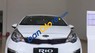 Kia Rio   2017 - Cần bán Kia Rio năm sản xuất 2017, màu trắng, nhập khẩu nguyên chiếc