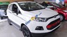 Ford EcoSport  Titanium AT 2017 - Cần bán xe Ford EcoSport Titanium AT sản xuất 2017, màu trắng