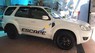 Ford Escape XLS 2010 - Bán Ford Escape XLS đời 2010, màu trắng, xe còn zin toàn bộ, bao test các kiểu