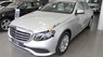 Mercedes-Benz E200 2017 - Cần bán Mercedes E200 sản xuất 2017, màu bạc, xe nhập