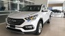 Hyundai Santa Fe 2017 - Bán ô tô Hyundai Santa Fe sản xuất năm 2017, màu trắng