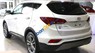 Hyundai Santa Fe 2017 - Bán Hyundai Santa Fe năm 2017