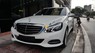 Mercedes-Benz E200 2015 - Bán ô tô Mercedes năm sản xuất 2015, màu trắng