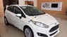 Ford Fiesta Ecoboots 1.0AT 2017 - Bán Ford Fiesta Ecoboots 1.0AT sản xuất năm 2017, màu trắng