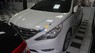 Hyundai Sonata Y20 2010 - Bán Hyundai Sonata Y20, sản xuất cuối 2010, đăng ký 2011, nhập khẩu nguyên chiếc từ Hàn Quốc