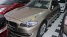 BMW 3 Series 320i 2012 - Bán BMW 3 Series 320i sản xuất 2012, màu vàng, nhập khẩu