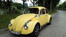 Volkswagen Beetle 1980 - Bán Volkswagen Beetle sản xuất năm 1980, màu vàng, xe nhập