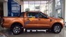 Ford Ranger Wildtrak 2017 - Bán ô tô Ford Ranger Wildtrak năm sản xuất 2017, giá chỉ 790 triệu