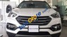 Hyundai Santa Fe   2017 - Bán xe Hyundai Santa Fe năm 2017, màu trắng