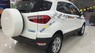 Ford EcoSport Titanium 1.5P AT 2017 - Bán ô tô Ford EcoSport Titanium 1.5P AT sản xuất 2017, màu trắng