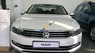 Volkswagen Passat 2015 - Bán Volkswagen Passat sản xuất năm 2015, màu trắng, nhập khẩu