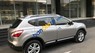 Nissan Qashqai SE 2010 - Xe Nissan Qashqai SE năm 2010, màu bạc, nhập khẩu 