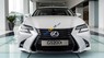 Lexus GS 200T 2017 - Bán Lexus GS 200T Sedan 2017, ngôn ngữ thiết kế L – Fitnesse